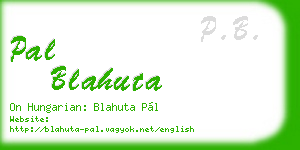 pal blahuta business card